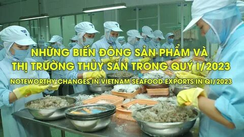 Sự Bùng Nổ Của Video Ngắn và Trí Tuệ Nhân Tạo: Vai Trò Thiết Yếu Của Đào Tạo Kỹ Năng Sáng Tạo Nội Dung_Video phân phối nền tảng