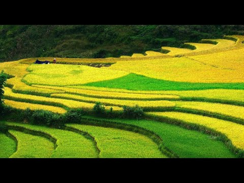 Video ngắn – Giải pháp truyền thông thông minh cho doanh nghiệp nhỏ