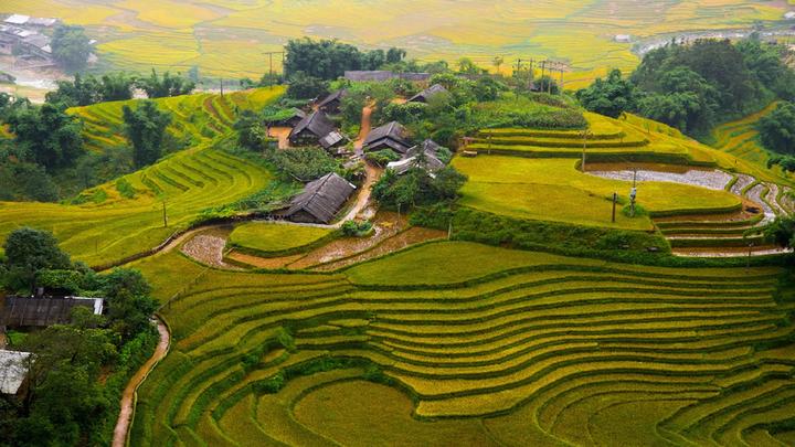 Xu hướng 3 kiểu giày