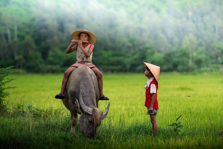 Hotspot Matrix và Cá Phổi Tây Phi: Sự Phát Triển trong Môi Trường Khắc Nghiệt