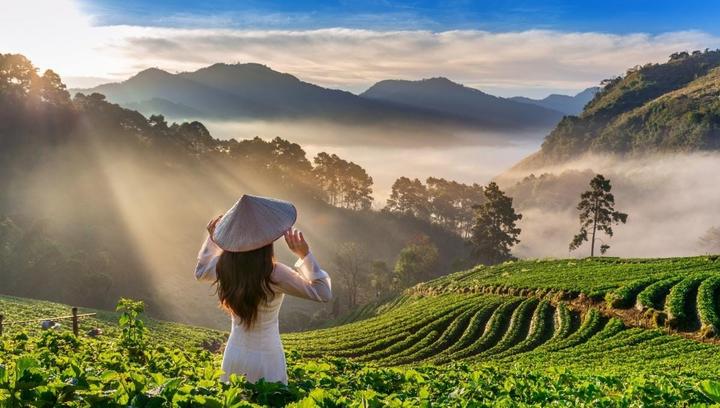 Từ 2 nàng dâu hào môn hot nhất đến chiến lược content: Hotspot Matrix chia sẻ