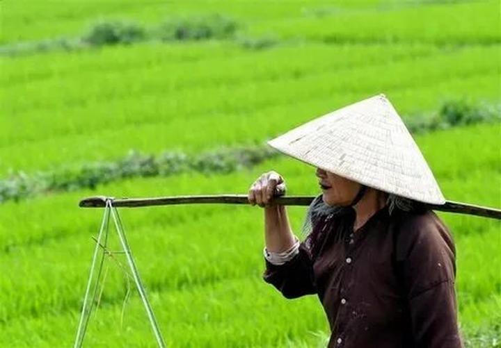 Hotspot Matrix và Xuất hiện phim Việt dở nhất 2025, netizen than trời “để tiền ăn bát phở
